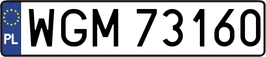 WGM73160