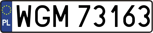 WGM73163