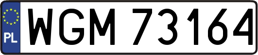 WGM73164