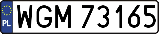WGM73165