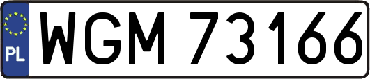 WGM73166