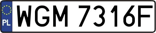 WGM7316F