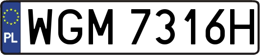 WGM7316H