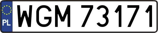 WGM73171