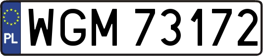 WGM73172
