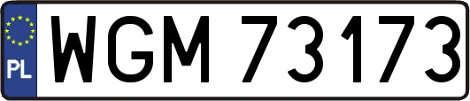 WGM73173