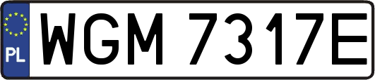 WGM7317E