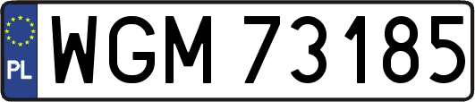 WGM73185