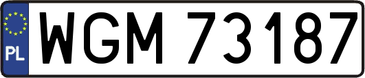 WGM73187