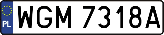 WGM7318A