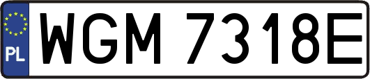 WGM7318E