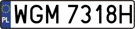 WGM7318H