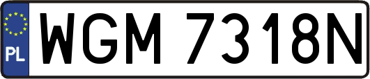 WGM7318N