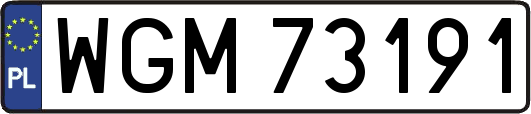 WGM73191