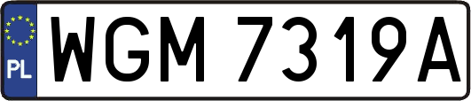 WGM7319A