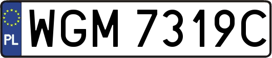WGM7319C