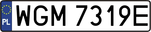 WGM7319E