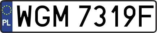 WGM7319F