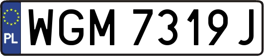 WGM7319J