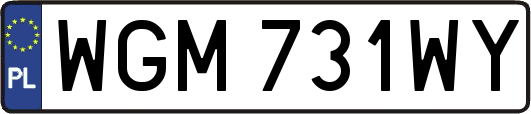 WGM731WY