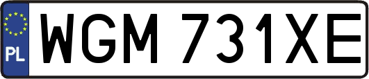 WGM731XE