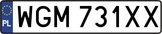 WGM731XX