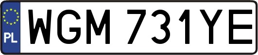 WGM731YE