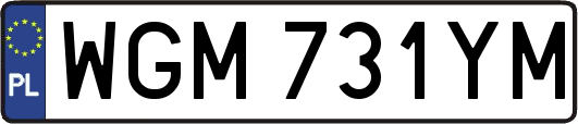WGM731YM