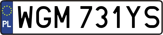 WGM731YS