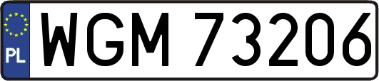 WGM73206