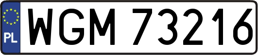 WGM73216