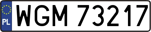 WGM73217