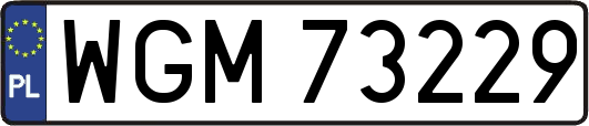 WGM73229