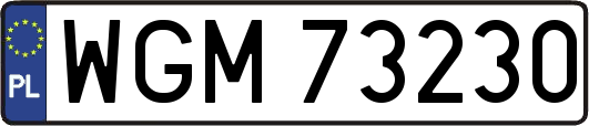 WGM73230