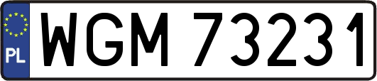 WGM73231