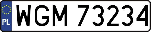 WGM73234