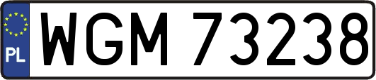 WGM73238