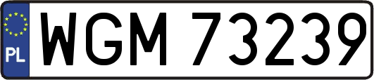 WGM73239