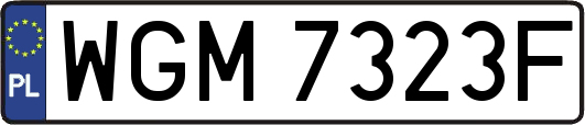 WGM7323F