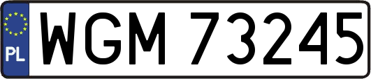 WGM73245