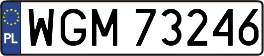 WGM73246