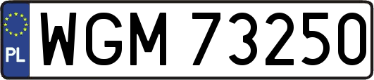 WGM73250