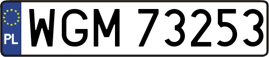 WGM73253