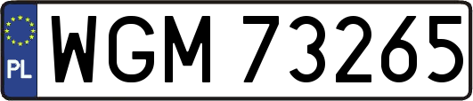 WGM73265