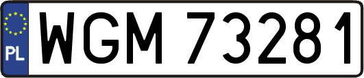 WGM73281