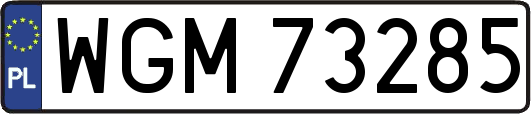WGM73285