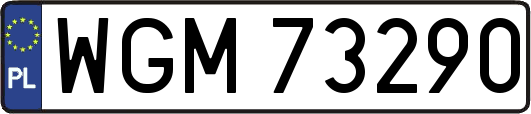 WGM73290
