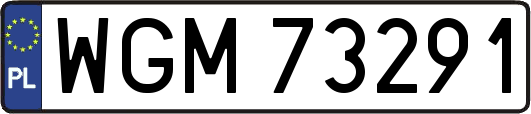 WGM73291