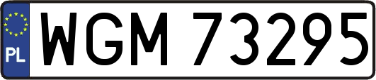 WGM73295