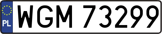 WGM73299